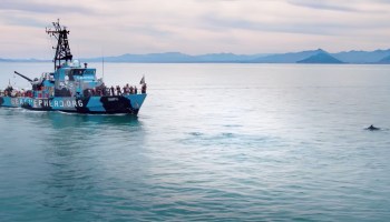 ‘Mar de sombras’ revela en Sundance 2019 el tráfico ilegal de la ‘cocaína acuática’ en México