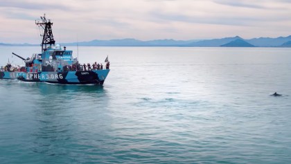 ‘Mar de sombras’ revela en Sundance 2019 el tráfico ilegal de la ‘cocaína acuática’ en México