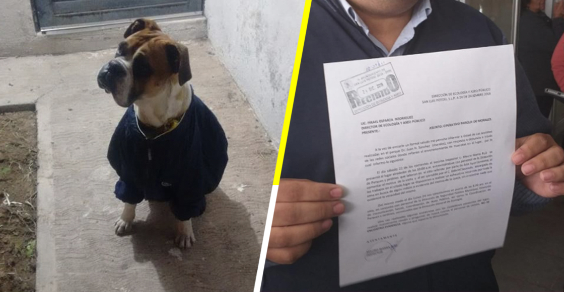 #JusticiaParaMiguel: Acusan que mataron a un perrito con petardos en el hocico