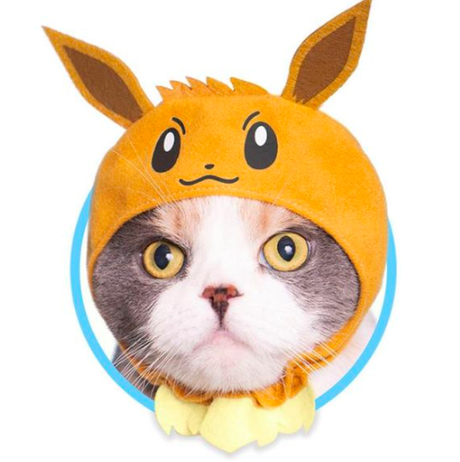 ¡Awww! Pokémon sacó una línea de gorritos para gatos y son adorables