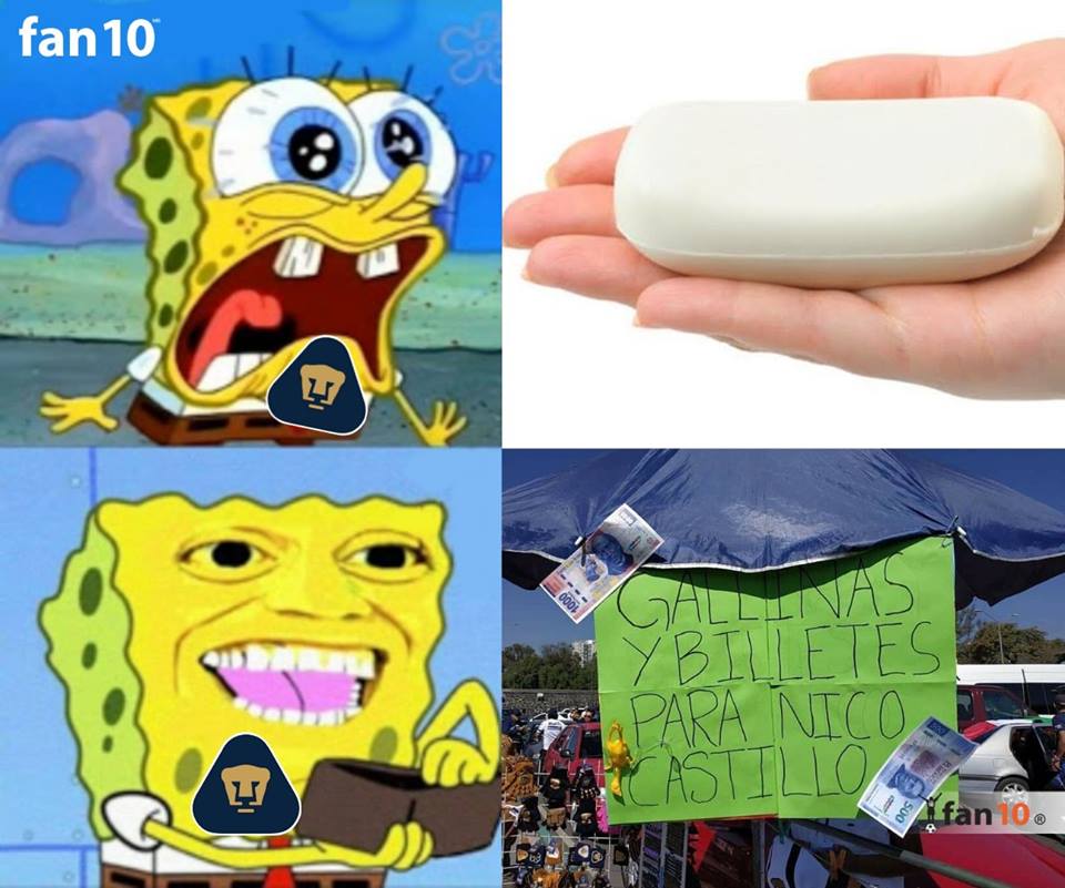 Pumas y América protagonizaron su Clásica pelea de memes capitalinos