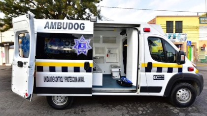 Ambudog, la primer ambulancia para animales en México