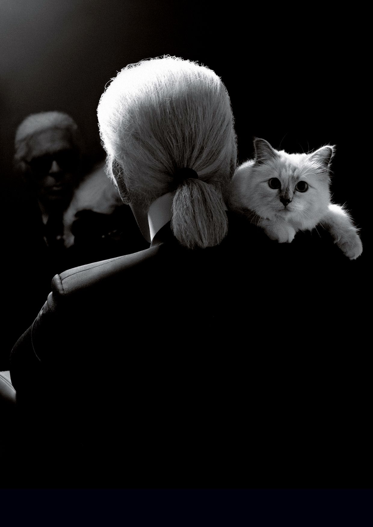 Choupette: el gran amor y heredera de la fortuna de Karl Lagerfeld