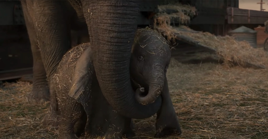 Fly, Dumbo! Checa el nuevo tráiler del live action de ‘Dumbo’ de Tim Burton