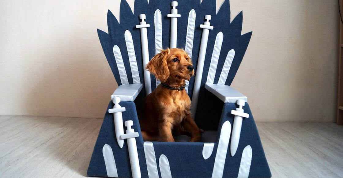 Para tu perrhijo: ¡Mira las camas de Game of Thrones para mascotas!