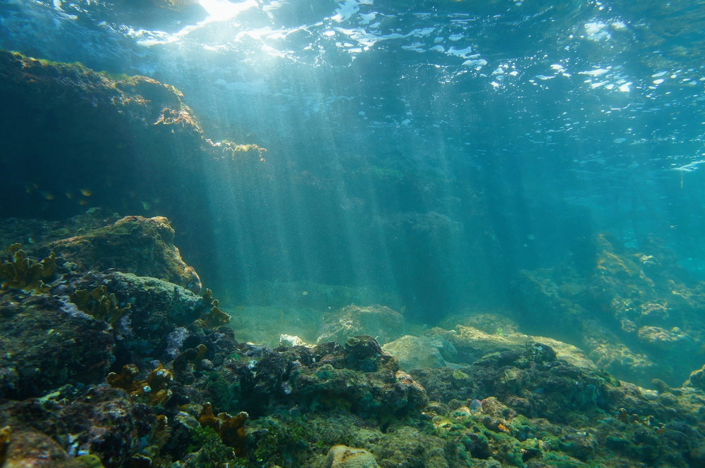 El mar está cambiando de color y todo debido al cambio climático