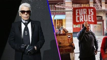 El inoportuno tuit de PETA sobre la muerte de Karl Lagerfeld