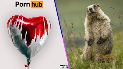 Liberen a sus marmotas al ritmo del disco de San Valentín de Pornhub