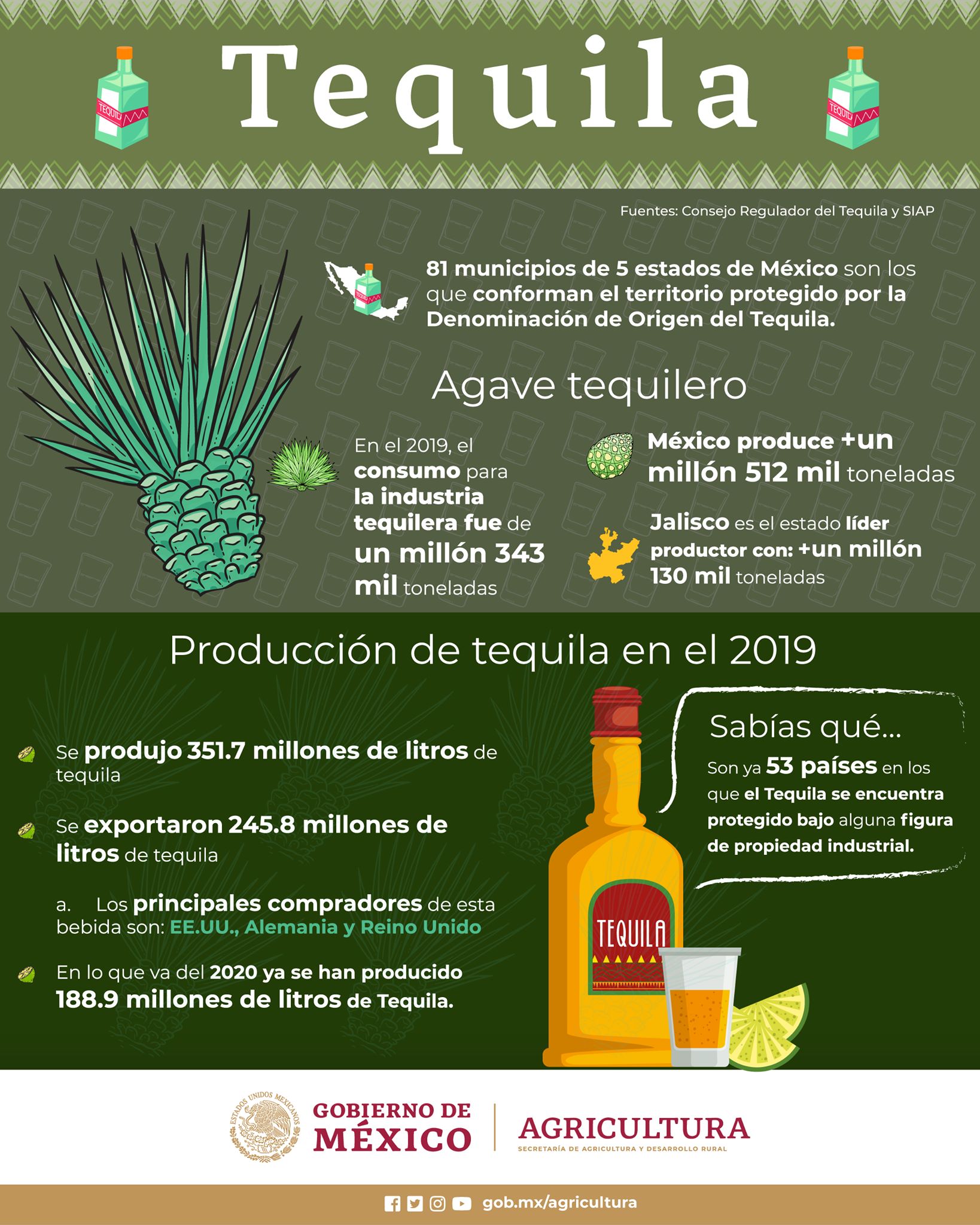 tequila-dia-agricultura-mexico