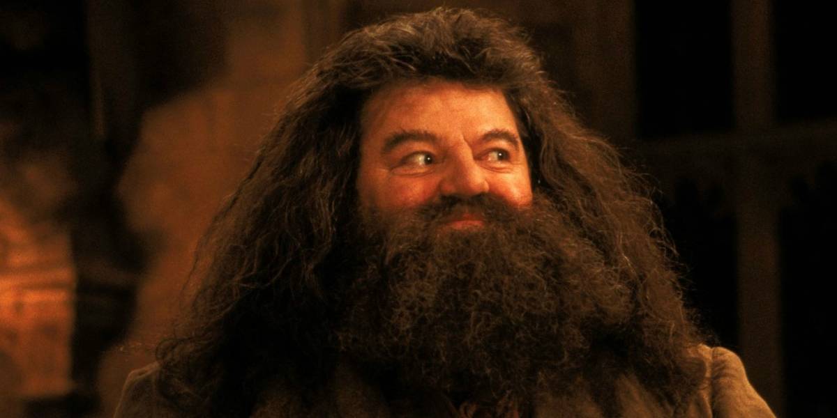 "Hagrid" de Harry Potter tuvo que quedarse en silla de ruedas debido a esta enfermedad