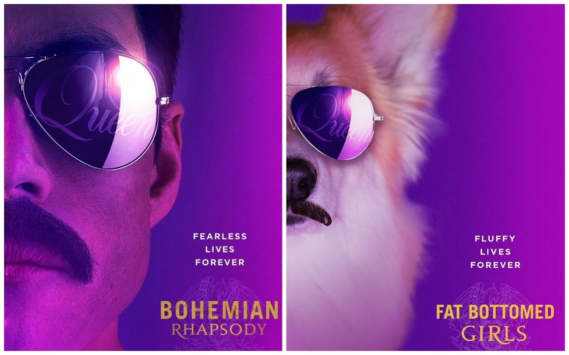 Corgi - Pósters de películas conocidas