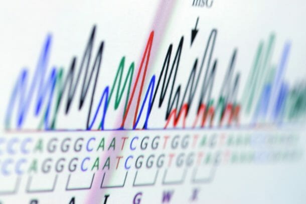Las trampas de las pruebas de ADN
