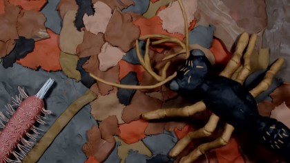 Claymation - Documentales de insectos hechos con plastilina