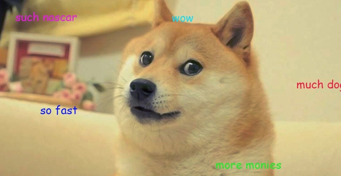 La historia detrás del meme: Doge y su llegada a Twitter