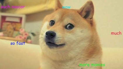 La historia detrás del meme: 'Doge' y su llegada a Twitter