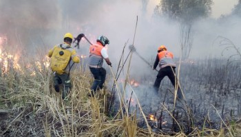 ¡Otra vez! Se reporta incendio en pastizal de Xochimilco, en la Ciudad de México