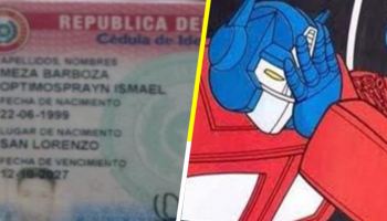 Optimus Prayn, Pelusa y Mafaldo, los nuevos nombres aprobados por un registro civil