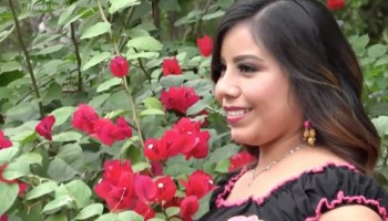 Ella es la joven de la etnia tének que será coronada reina de belleza en San Luis Potosí