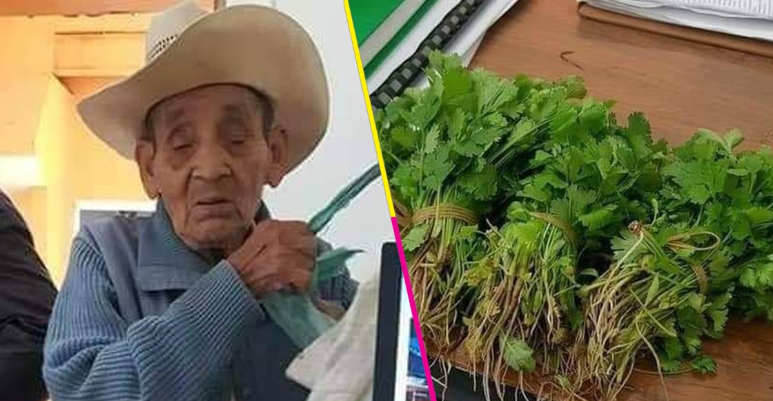 Un viejito intentó pagar su acta de nacimiento con manojos de cilantro porque no tenía dinero