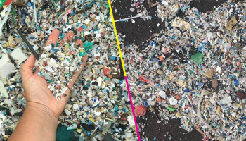 Mundo enfermo y triste: basura y plástico inundan una playa en Tenerife