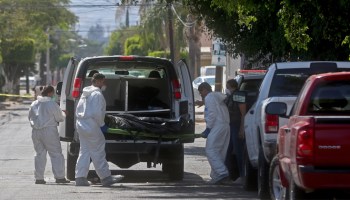 Van 15 cuerpos encontrados en una fosa clandestina en Zapopan, Jalisco