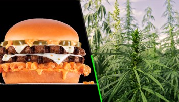 Un Carl's Jr de Estados Unidos ofrecerá por primera vez una hamburguesa con cannabis