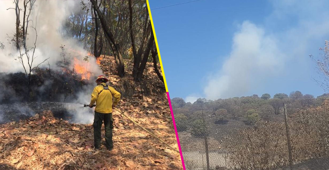 ¿Otra vez? Se incendia el Bosque la Primavera en Jalisco