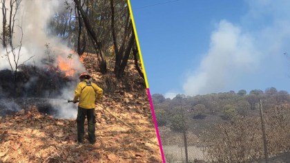 ¿Otra vez? Se incendia el Bosque la Primavera en Jalisco