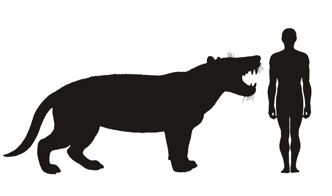 León gigante africano