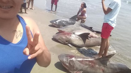 Pal' Feis: En Veracruz, una mujer pesca y posa junto a 4 tiburones muertos