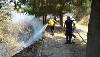 Reportera que documentó incendios forestales en Michoacán es víctima de amenazas