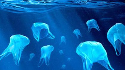 Esto es lo que pasa con las bolsas de plástico “biodegradables”