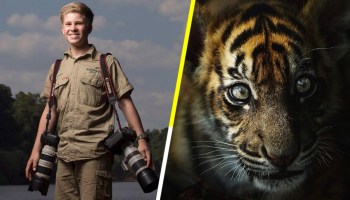 Fotografías de vida salvaje - Robert, hijo de Steve Irwin