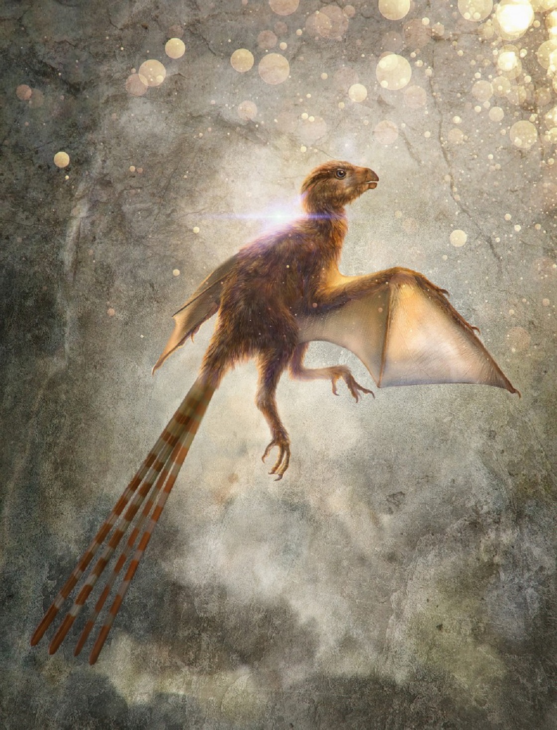 Dinosaurio con alas de murciélago - Ambopteryx