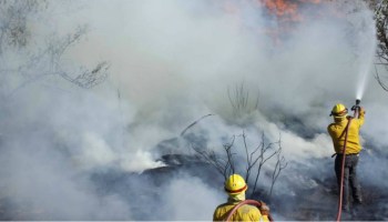 Aún se reportan 106 incendios forestales en 19 estados: Conafor