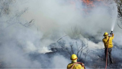 Aún se reportan 106 incendios forestales en 19 estados: Conafor
