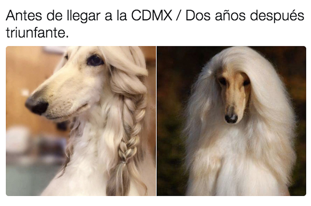 rentar sin aval en la cdmx meme