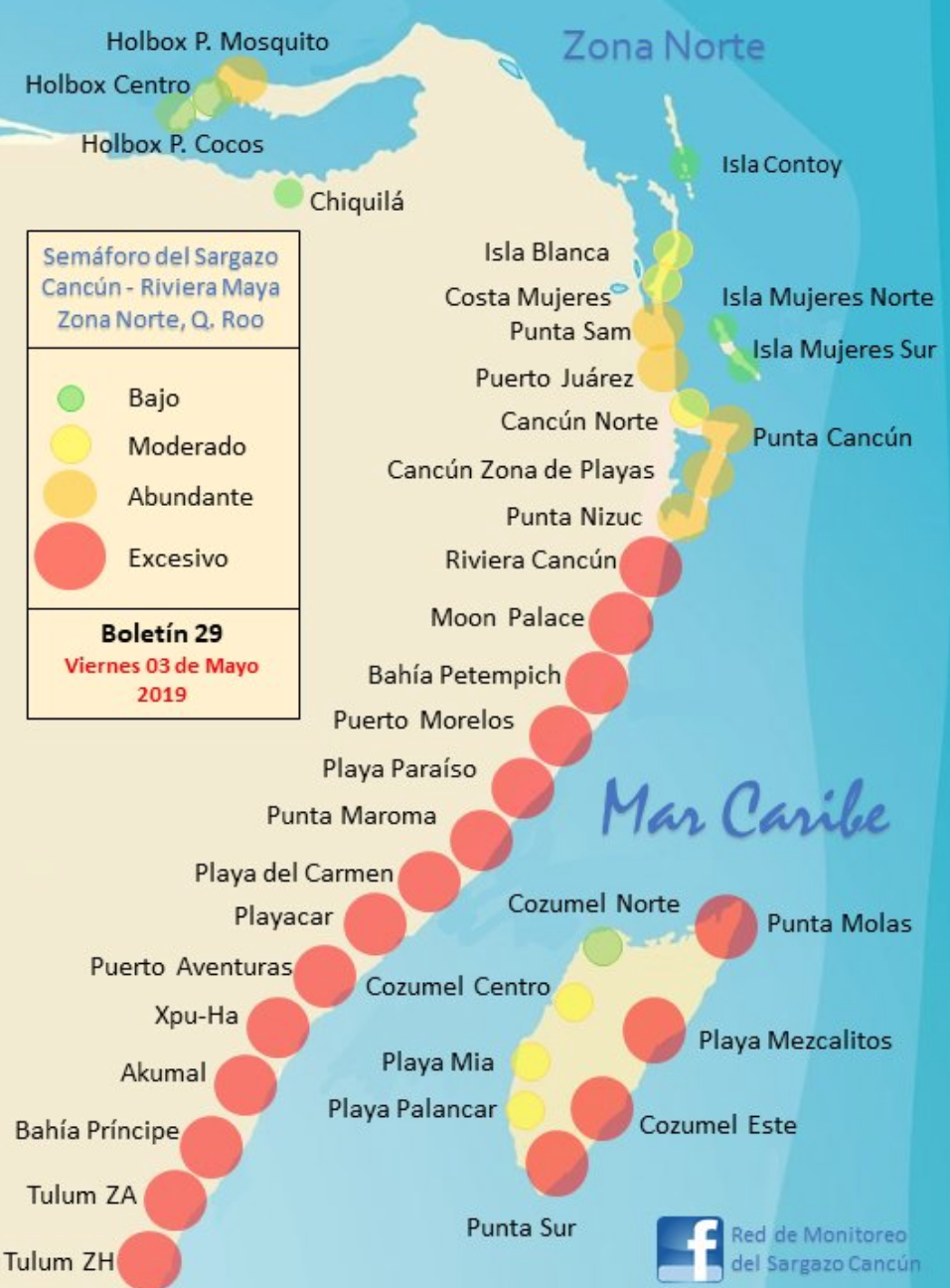 ¡Está de regreso! Se espera arribo masivo de sargazo en la costa de Quintana Roo