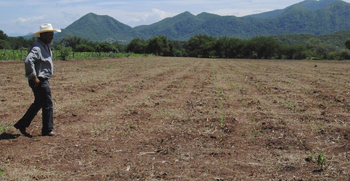 sequia-veracruz-preocupante