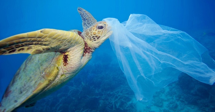 Esto es lo que pasa con las bolsas de plástico “biodegradables”