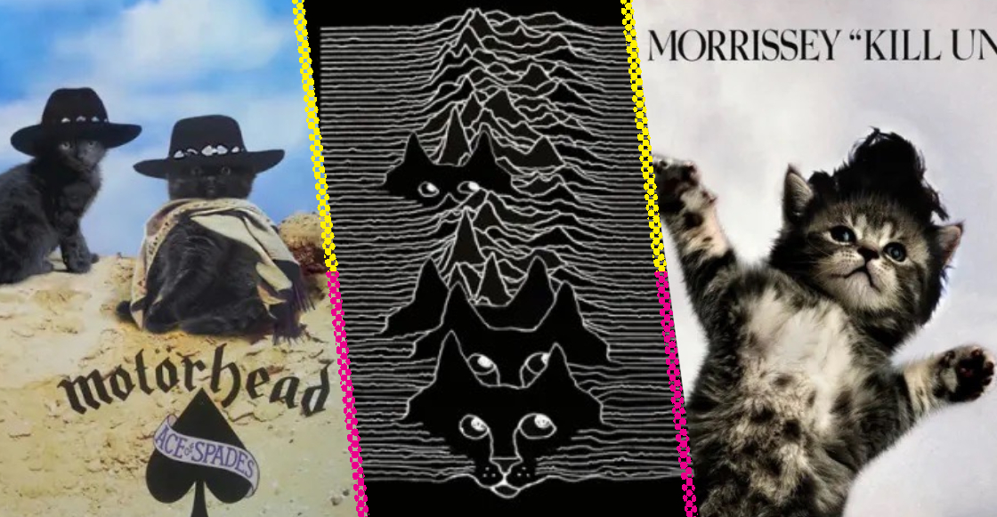 portadas discos gatos