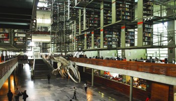 Biblioteca Vasconcelos permanecerá cerrada; se cancelan actividades "hasta nuevo aviso"