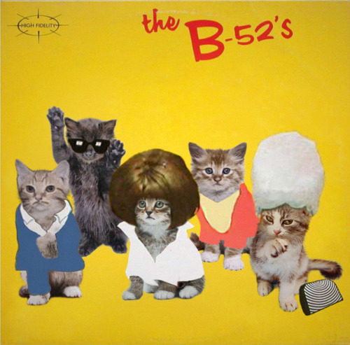 Gatos se robaron las portadas de tus discos favoritos