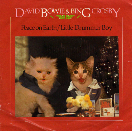 Gatos se robaron las portadas de tus discos favoritos