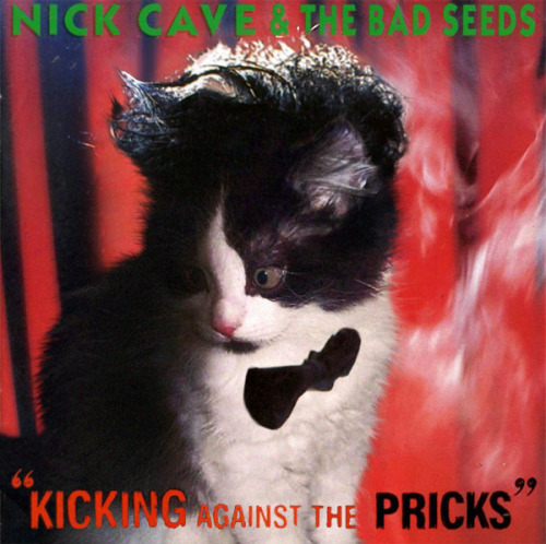 Gatos se robaron las portadas de tus discos favoritos