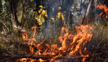 En lo que va de 2019, 17 brigadistas han perdido la vida por sofocar los incendios: Conafor