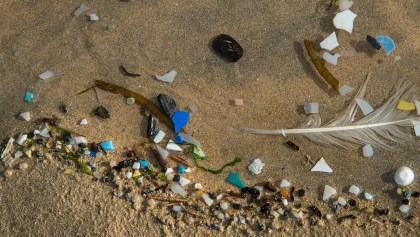 Científicos de la UNAM confirman la presencia de microplásticos en las playas de México