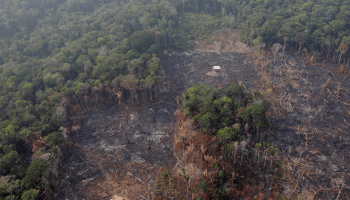 Crítica de Macron sobre incendios en el Amazonas es puro "colonialismo", dice Bolsonaro