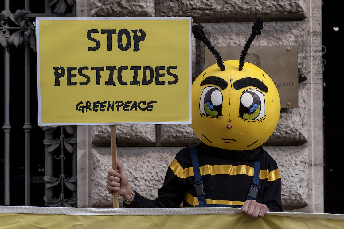 abejas-mueren-pesticida-protesta-brasil-03