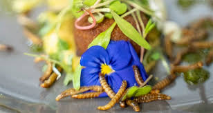 ‘The Insect Experience’, el primer restaurante especializado en entomofagia